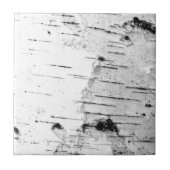 Bruchstamm Fliese (Vorderseite)