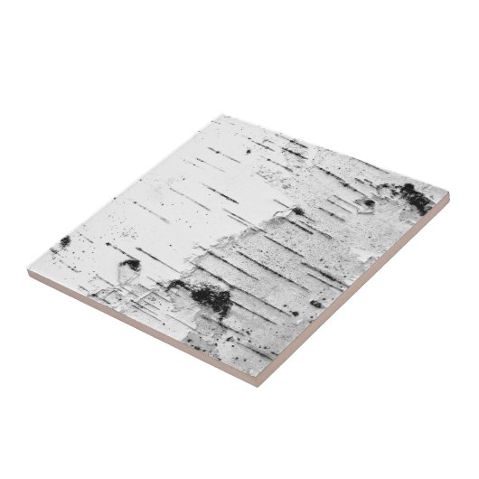 Bruchstamm Fliese (Seite)