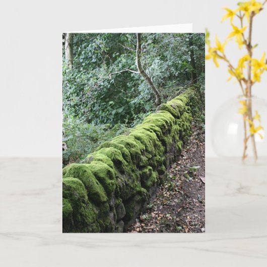 Bruchsteinwand bedeckt im Moos Karte (Gelbe Blume)