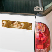 Bruchstelle Autoaufkleber (Auf Lkw)