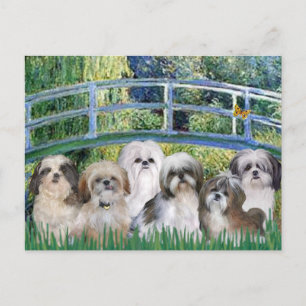 Brücke - 6 schicke Zustände Postkarte