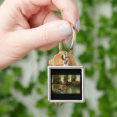 Brücke an der Schönheits-Insel, Detroit, Michigan Schlüsselanhänger (Hand)