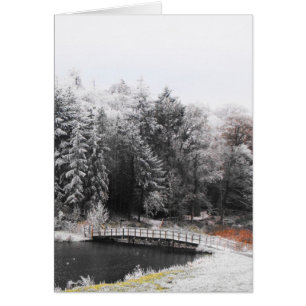 Brücke auf einer frostigen Morgenkarte