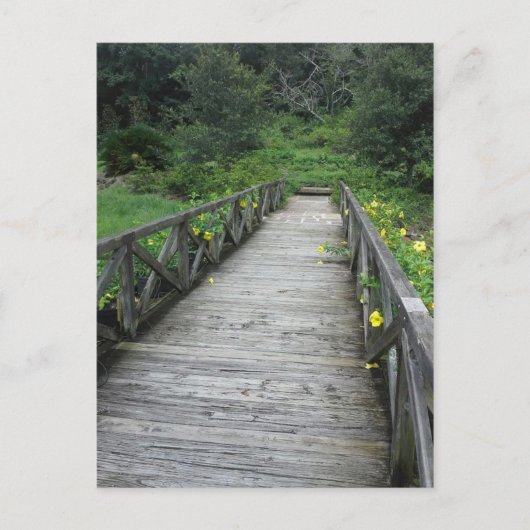 Brücke bei Bellingrath Gardens Postkarte (Vorderseite)