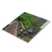 Brücke bei Latourell Falls, Columbia River Gorge, Fliese (Seite)