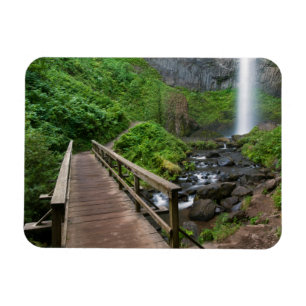 Brücke bei Latourell Falls, Columbia River Gorge, Magnet
