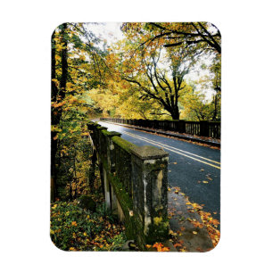 Brücke bei Latourell Falls, OR Magnet