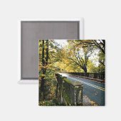 Brücke bei Latourell Falls, Oregon Magnet (Vorderseite/Rückseite)