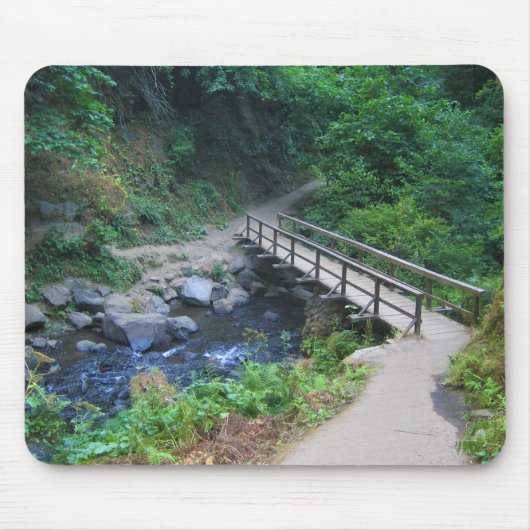 Brücke bei Latourell Falls, Oregon Mousepad (Vorne)