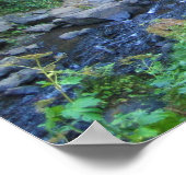 Brücke bei Latourell Falls, Oregon Poster (Ecke)