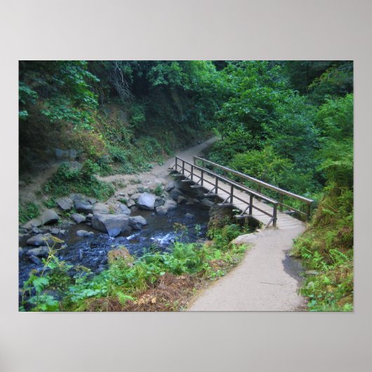 Brücke bei Latourell Falls, Oregon Poster (Vorne)