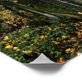 Brücke bei Latourell Falls, Oregon Poster (Ecke)