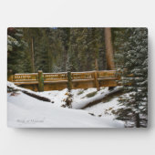 Brücke bei Wuksachi Fotoplatte (Vorderseite)