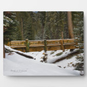 Brücke bei Wuksachi Fotoplatte (Vorderseite)