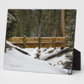 Brücke bei Wuksachi Fotoplatte (Seite)