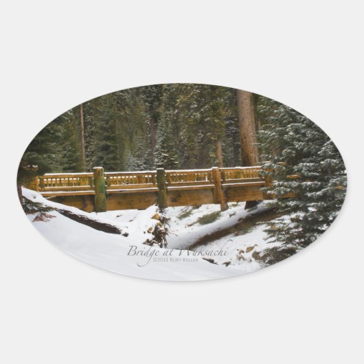 Brücke bei Wuksachi Ovaler Aufkleber (Vorderseite)