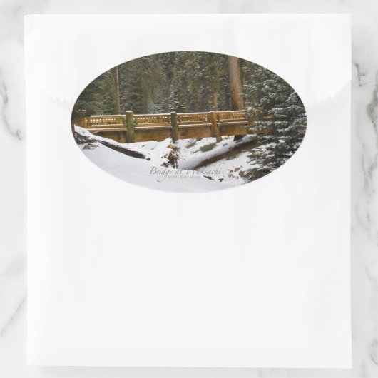 Brücke bei Wuksachi Ovaler Aufkleber (Tasche)