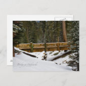 Brücke bei Wuksachi Postkarte (Vorne/Hinten)