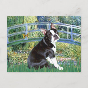 Brücke - Boston Terrier #4 Postkarte