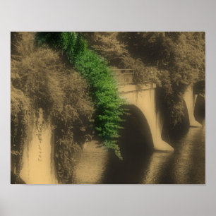 Brücke der Blumen Vintage Teilfarbe Poster