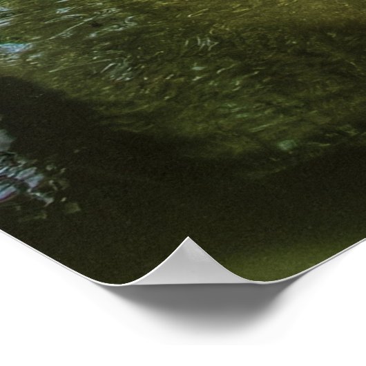 Brücke - Der chinesische Garten Poster (Ecke)