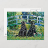 Brücke - Flachüberzogener Retriever (zwei) Postkarte (Vorne/Hinten)