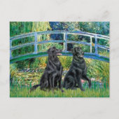 Brücke - Flachüberzogener Retriever (zwei) Postkarte (Vorderseite)
