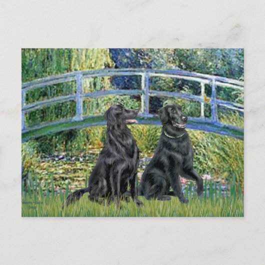 Brücke - Flachüberzogener Retriever (zwei) Postkarte (Vorderseite)