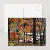 Brücke im Herbst mit herbstlichen Baumblättern / L Postkarte (Vorne/Hinten)