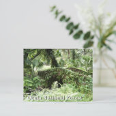 Brücke im Ocala National Forest Florida Postkarte (Stehend Vorderseite)
