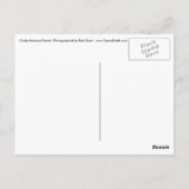 Brücke im Ocala National Forest Florida Postkarte (Rückseite)