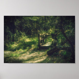 Brücke im Wald Poster