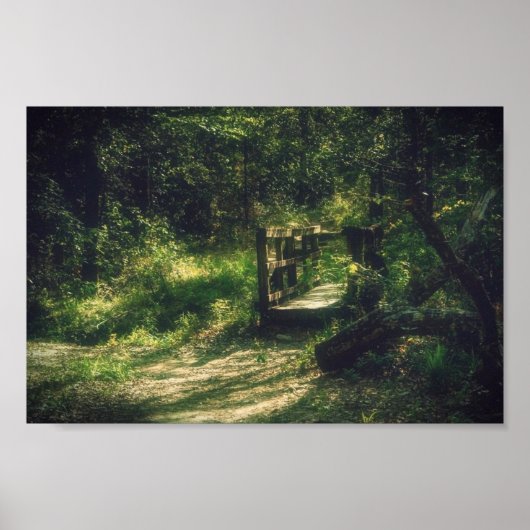 Brücke im Wald Poster (Vorne)