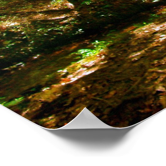 Brücke im Wald Poster (Ecke)