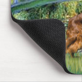 Brücke - Irischer Setter 3 Mousepad (Ecke)