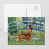 Brücke - Irischer Setter 3 Postkarte (Vorne/Hinten)