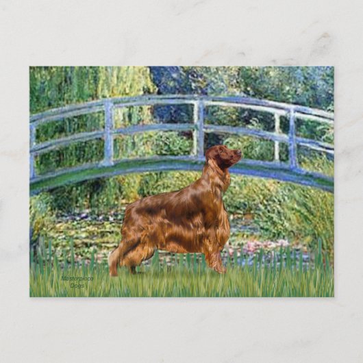 Brücke - Irischer Setter 3 Postkarte (Vorderseite)