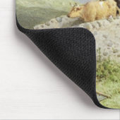 Brücke nahe Dalmally (w/c) Mousepad (Ecke)