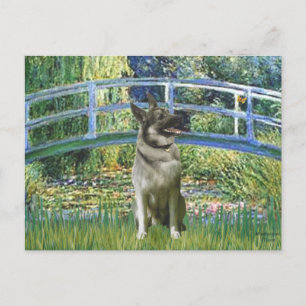 Brücke - Norwegischer Elchhund Postkarte
