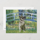 Brücke - Norwegischer Elkhound Postkarte (Vorne/Hinten)