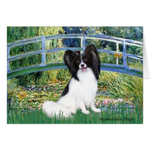 Brücke - Papillon 1
