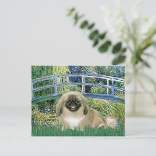 Brücke - Pekingese 1b Postkarte (Stehend Vorderseite)