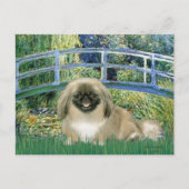 Brücke - Pekingese 1b Postkarte (Vorderseite)