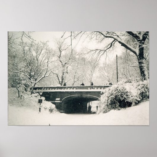 Brücke Poster (Vorne)