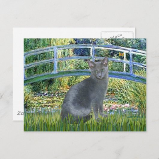 Brücke - Russische Blaue Katze 2 Postkarte (Vorne/Hinten)