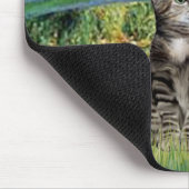 Brücke - Tabby-Tigerkatze 31 Mousepad (Ecke)