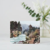 Brücke über den Sacramento Fluss c.1900 Postkarte (Stehend Vorderseite)