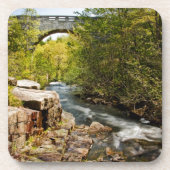 Brücke über Fluss Getränkeuntersetzer (Vorderseite)