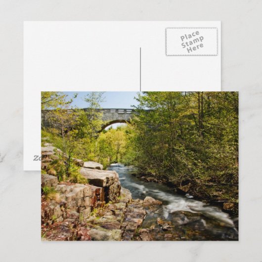 Brücke über Fluss Postkarte (Vorne/Hinten)