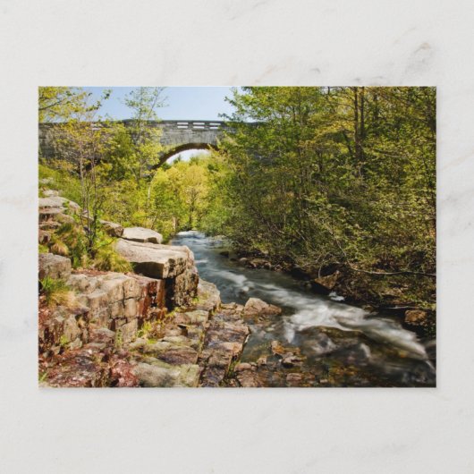 Brücke über Fluss Postkarte (Vorderseite)